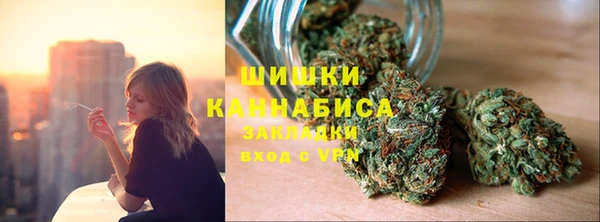 a pvp Бородино