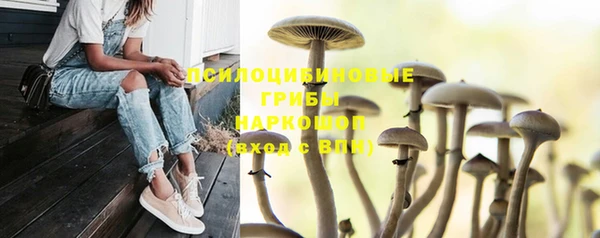 a pvp Семёнов