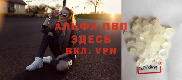 стаф Беломорск