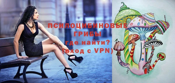 амф Бугульма