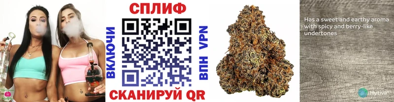 Канабис Ganja  продажа наркотиков  Армавир 